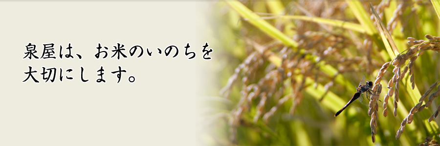 泉屋は、お米のいのちを大切にします。