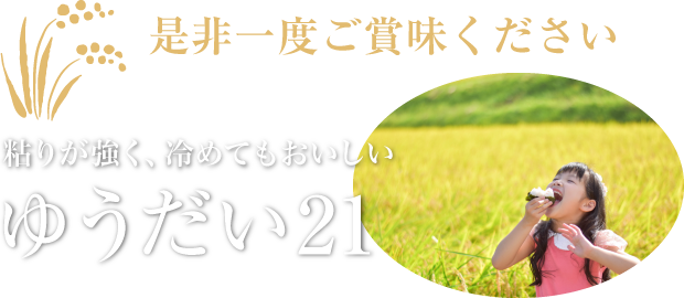 粘りが強く、冷めてもおいしい　ゆうだい21